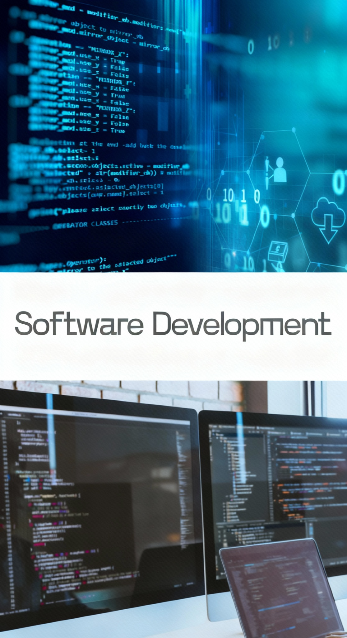 Software Design and Develop