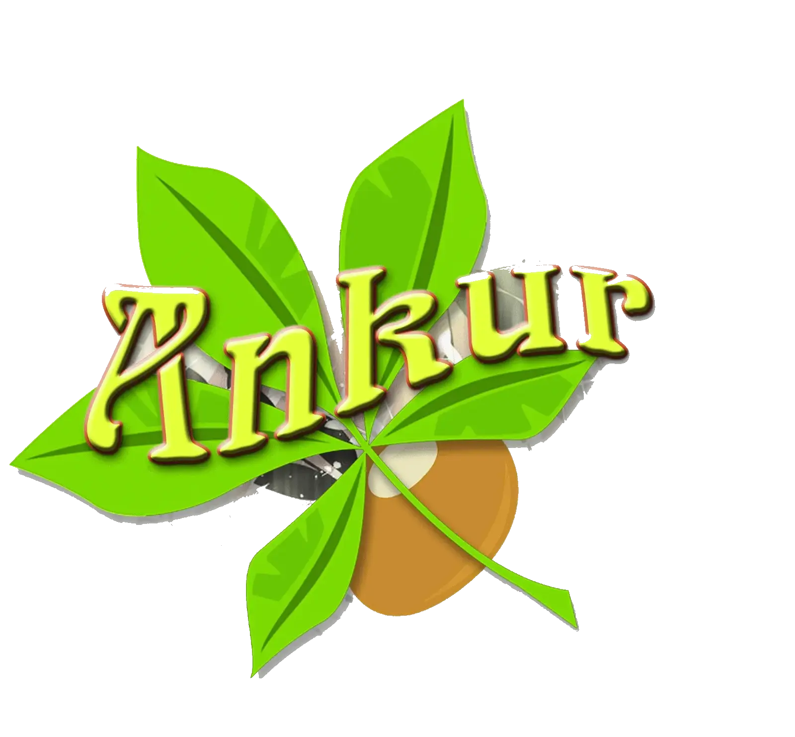 Ankur Team